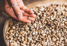 A new way to document and review coffee breeds