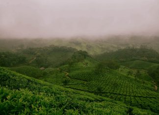 Manage farm soils to manage water consumption