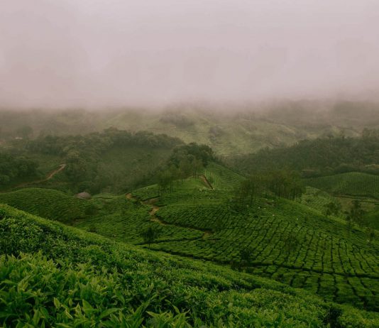 Manage farm soils to manage water consumption