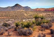The Mojave Desert Travel Guide