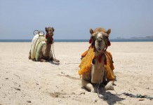 5 Must-See Beaches of the World