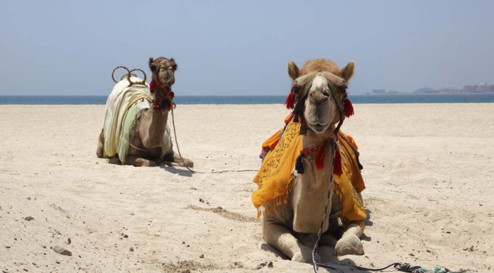 5 Must-See Beaches of the World