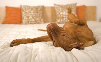 5 Bad Hotel Habits to Break Now