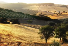 Best Budget Destinations for Fall