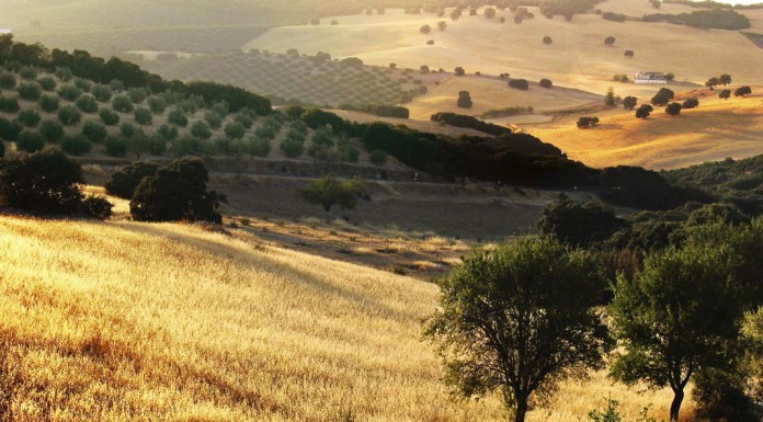 Best Budget Destinations for Fall