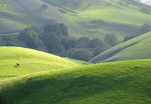 A Guide to Staying Healthy on Vacation