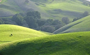 A Guide to Staying Healthy on Vacation