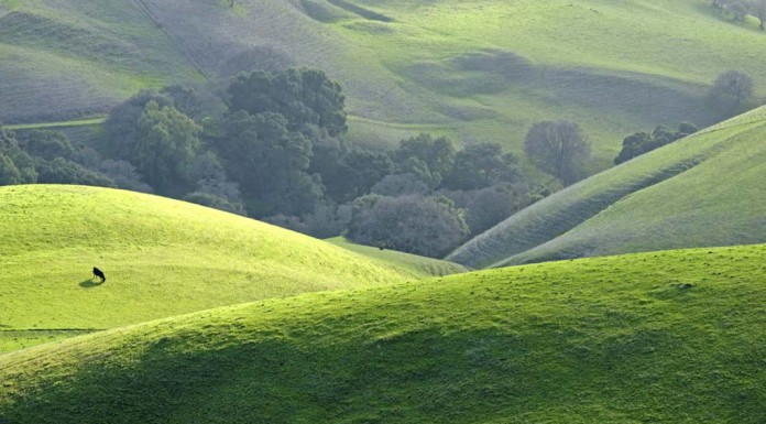 A Guide to Staying Healthy on Vacation