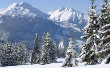 Don’t Make These Rookie Travel Mistakes