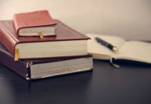 A Snow Garden and Other Stories review – pictures of lives, broken and whole