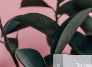 Take Us to Your Chief