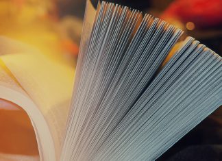 Congratulations on Everything