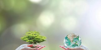 Invest in a Cleaner Environment to Make the Market Booming