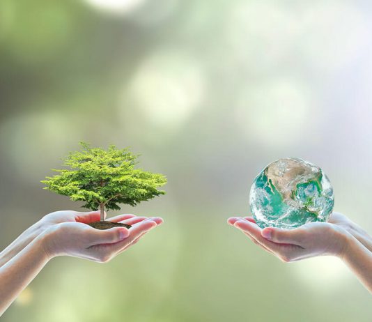 Invest in a Cleaner Environment to Make the Market Booming