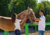 Ben Affleck and Jennifer Garner Visit the Famous Ranches of California