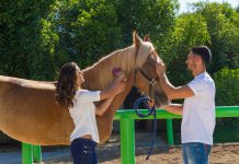 Ben Affleck and Jennifer Garner Visit the Famous Ranches of California