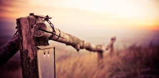 From Morning To Night