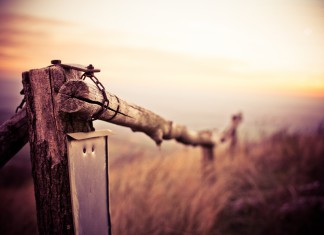 From Morning To Night