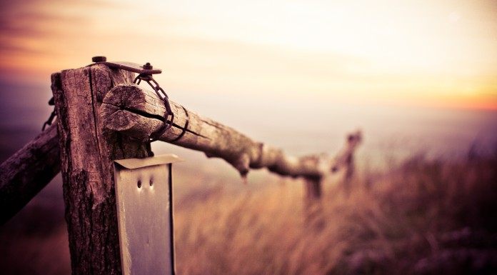 From Morning To Night