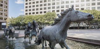 Elite Colleges Don’t Guarantee Success