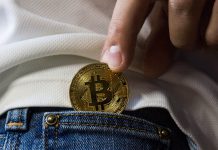 The Idiot-Proof Vault: A Simple Storage Guide for Beginners