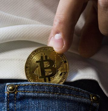 The Idiot-Proof Vault: A Simple Storage Guide for Beginners