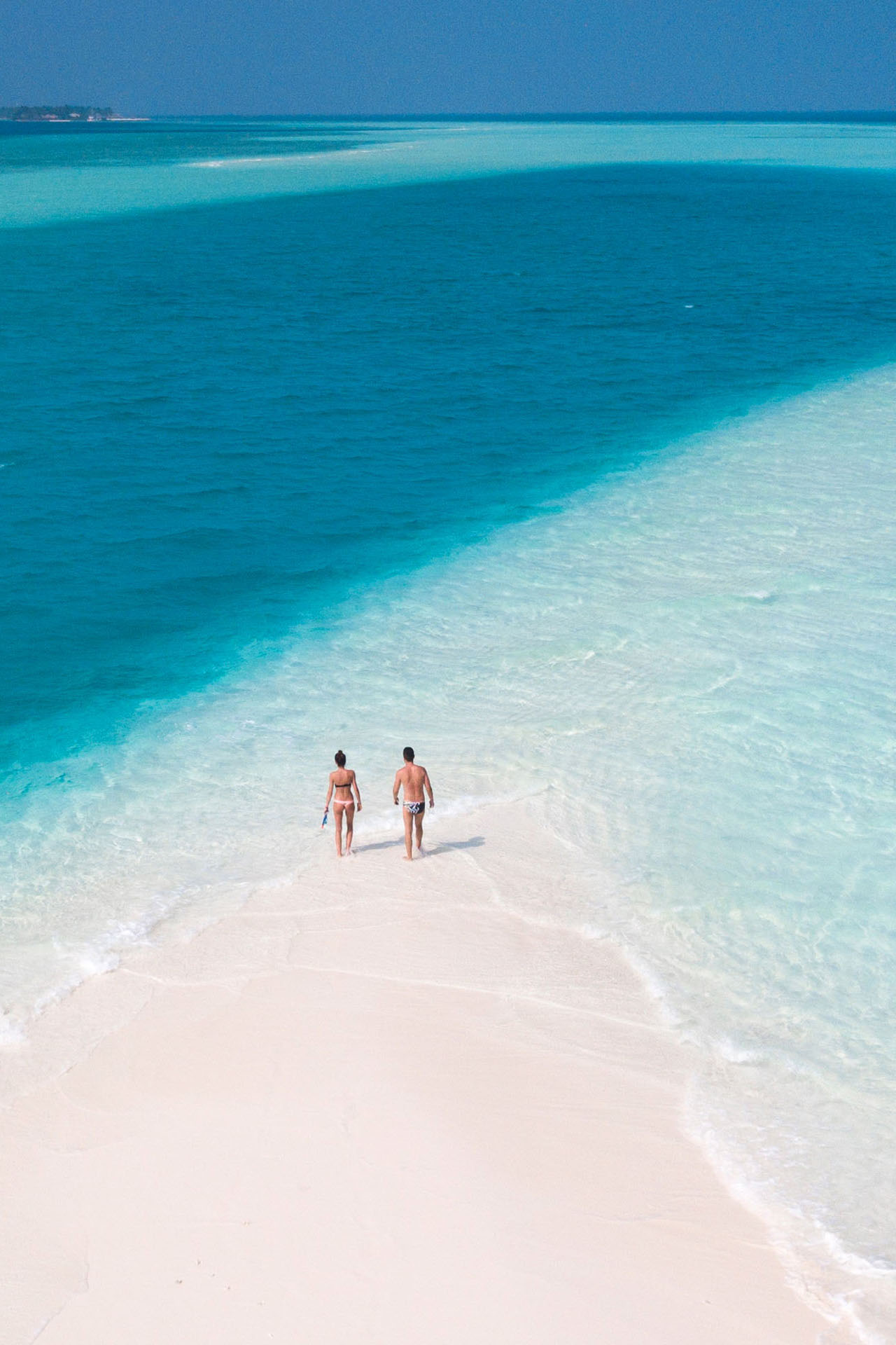 Before Concert Therapy: Breathtaking Barbados Snorkeling Experience ...