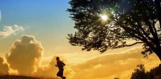 How Many Calories Does CrossFit REALLY Burn?