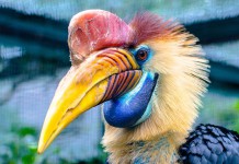 E!’s Fashion Finder: Biggest Shows, Parties and Celebrity