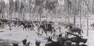 Emperor of Ethiopia Battles Italian Army