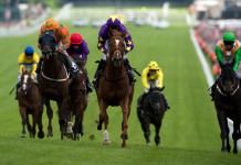 Scoop 6 pool expected to swell beyond £3m after 10 winners