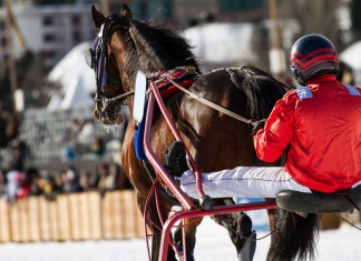 Talking Horses: today’s best bets and the latest racing news