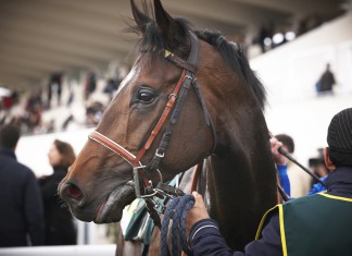 Whiz kid: Confusion over Horschet bathroom break