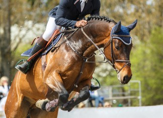 FedEx update: Horschel No. 2; Hoffmann, Palmer advance