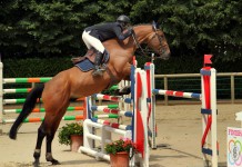 Lake effect: Bubble players fight for ticket to East Lake