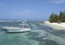 5 Must-Have Experiences on Grand Cayman Island