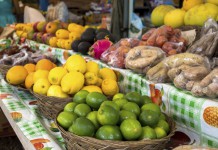 Beginner’s Guide to Hawaii: Kauai