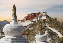 10 Things You Should Know Before You Go to Tibet