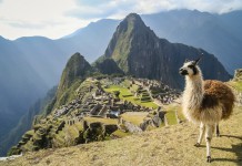 8 Incredible Pictures From The Travel Photographer