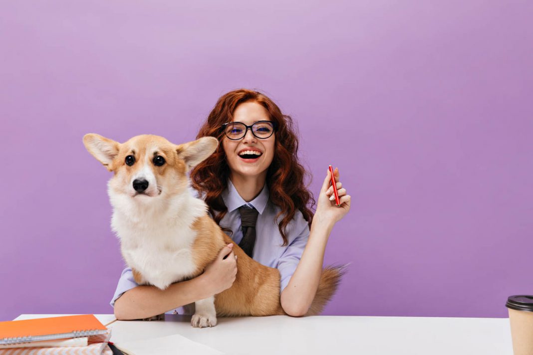 Smiling,Girl,Looks,Into,Camera,And,Plays,With,Corgi.,Lovely