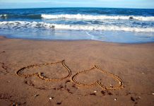 10 Tips for  Staying Heathy & Happy on Your Honeymoon