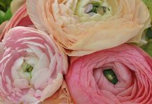 Fabulous Flowers for Fall Weddings