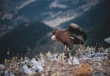 North of China is home to vast areas of uncharted lands