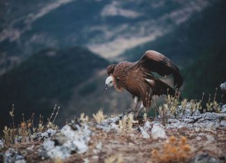 North of China is home to vast areas of uncharted lands