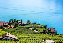 How Aroma is changing the Valley