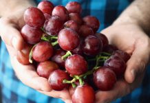 Unemployment rate at 17-year low