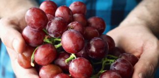 Unemployment rate at 17-year low